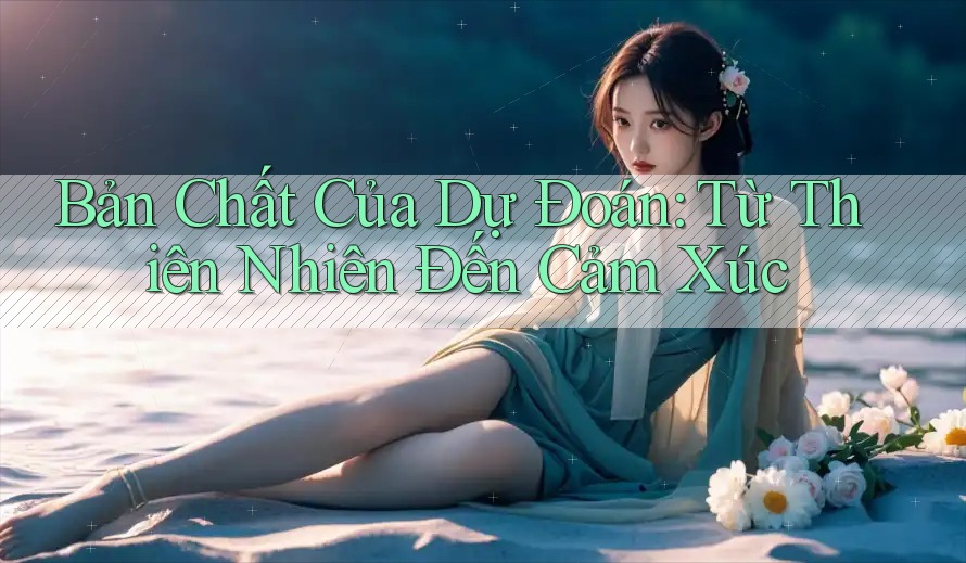 Bản Chất Của Dự Đoán: Từ Thiên Nhiên Đến Cảm Xúc Bản Chất Của Dự Đoán: Từ Thiên Nhiên Đến Cảm Xúc