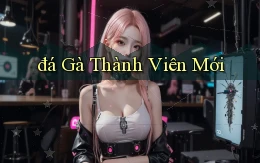 đá gà Thành viên mới