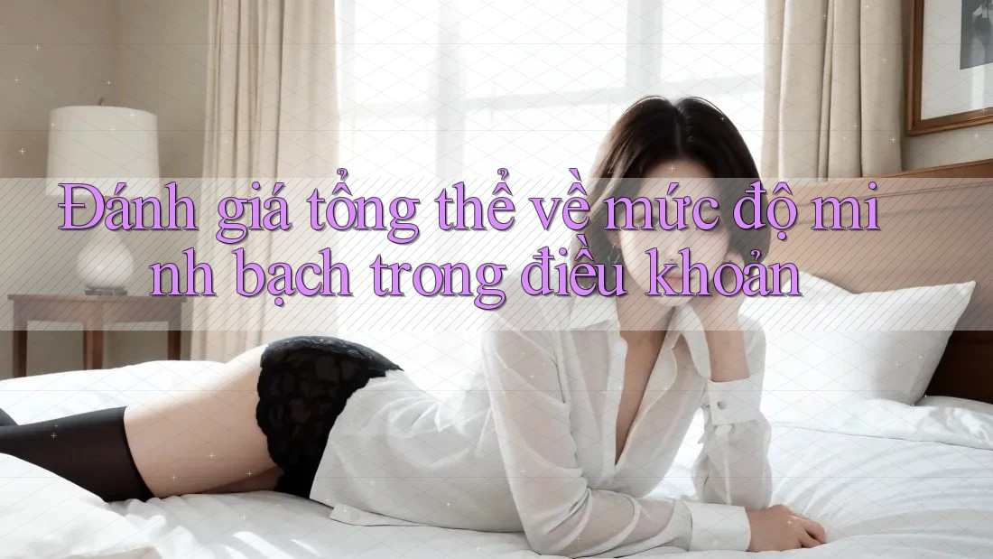 Đánh giá tổng thể về mức độ minh bạch trong điều khoản Đánh giá tổng thể về mức độ minh bạch trong điều khoản