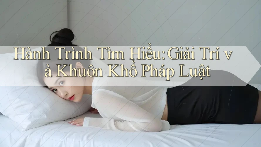 Hành Trình Tìm Hiểu: Giải Trí và Khuôn Khổ Pháp Luật