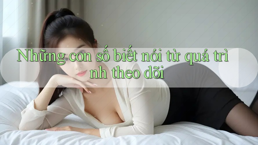 Những con số biết nói từ quá trình theo dõi Những con số biết nói từ quá trình theo dõi